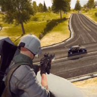 荒野枪战（Leaks）