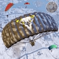 遭遇突击队攻击（Encounter Commando Strike）