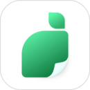 青柠设计高级版