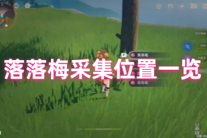 原神蒙德落落莓怎么采集