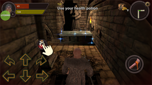 地牢守卫破解版