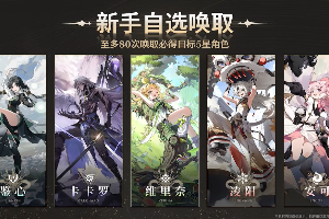 鸣潮自选五星角色推荐