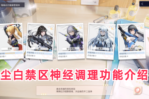 尘白禁区神经调理功能介绍