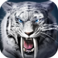 九灵神域腾讯版