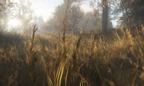 猎人荒野的召唤