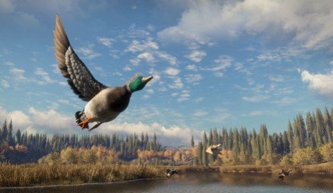 猎人荒野的召唤